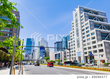 東京　青山通り 89086477