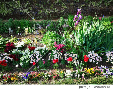 季節の花 季節の花 89086948