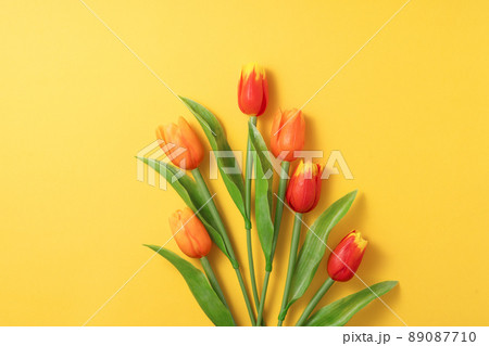 チューリップ チューリップ 花 89087710