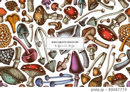 Forest mushrooms seamless pattern background design. Engraved style. Hand drawn mushrooms, fly 89087774