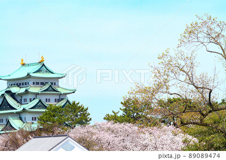 満開の桜と名古屋城の風景 89089474