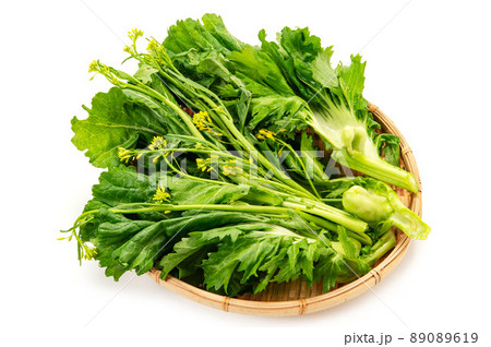 伝統野菜の播州こぶな 伝統野菜の播州こぶな 89089619