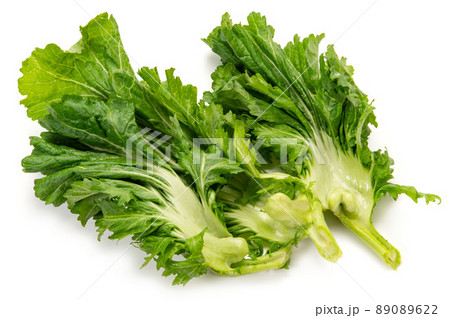 伝統野菜の播州こぶな 89089622