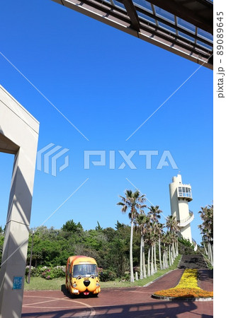 千葉　館山　道の駅南房パラダイス 89089645