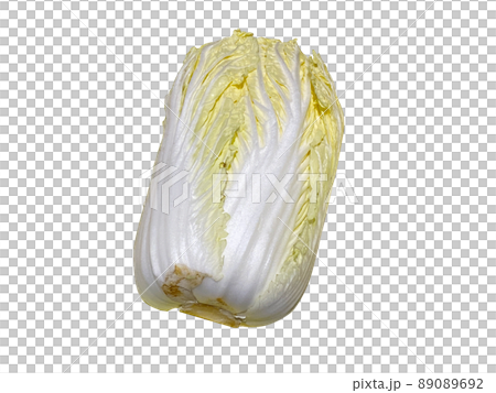 Chinese cabbage, ssam cabbage, vegetables, nuki Chinese cabbage, ssam cabbage, vegetables, nuki 89089692