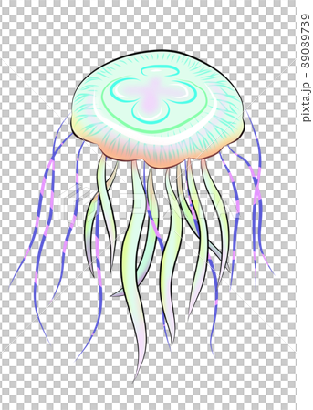 海でプカプカ気ままなクラゲ　でも獰猛 89089739