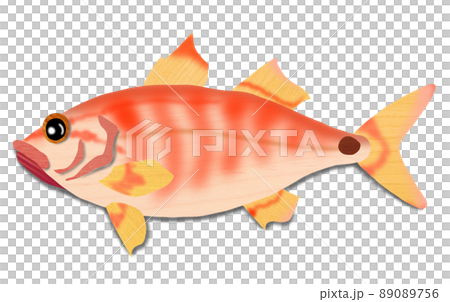 Outer road of embankment fishing Nembutsudai 89089756