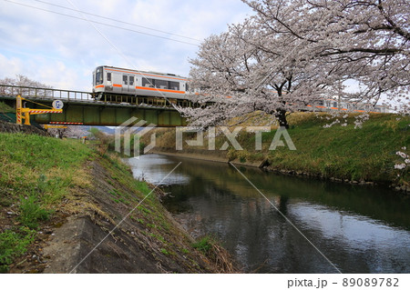 境川の桜と高山本線　キハ75 89089782