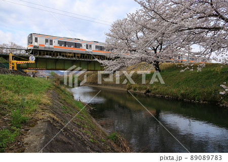 境川の桜と高山本線　キハ75 89089783