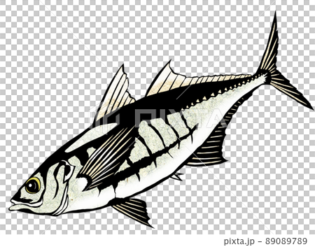 生魚片最好的竹莢魚 89089789