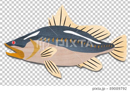Phantom giant fish snook 89089792