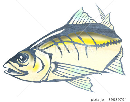 煮付にもいける美味しい魚アジ 89089794