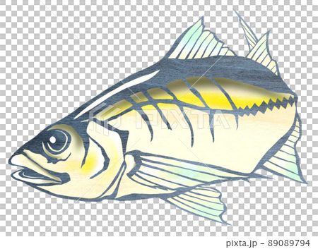 煮付にもいける美味しい魚アジ 89089794
