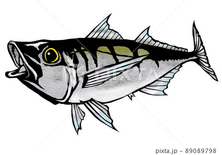 干物で美味しい魚アジのイラスト素材 [89089798] - PIXTA