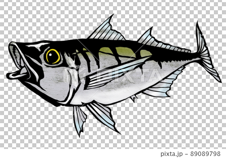 干物で美味しい魚アジのイラスト素材 [89089798] - PIXTA
