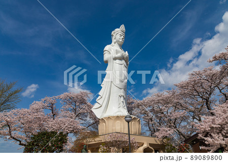 船岡城址公園の桜と観音菩薩像（宮城） 89089800