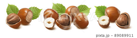 Hazelnut set isolated on white background. Whole and broken nuts with leaves. Hazelnut set isolated on white background. Whole and broken nuts with leaves. 89089911