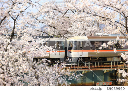 新境川の桜と特急ひだ 89089960