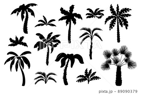 Black palm tree silhouettes. Miami hawaii tropical palms, isolated exotic forest icons. Leaves and foliage, summer beach neat plants vector set 89090379