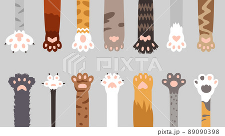 Cat foots. Flat cats paws, animals footprint background. Tiger leg with claws, fun pet and wild animal print. Decorative cute doodle footprints classy vector banner 89090398