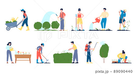 People gardening lush plants in wood pots and ground. Transplanting organic greenery, summer rest in village. Agriculture hobby, recent vector planting characters 89090440