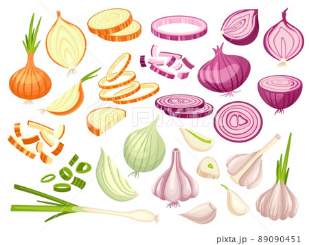 Fresh onion. Cartoon cutting red, white and green onions. Cut raw vegetables, slices and half parts. Garlic pieces, spring neat culinary vector kit 89090451