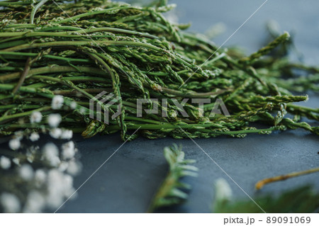 bunch of wild asparagus bunch of wild asparagus 89091069