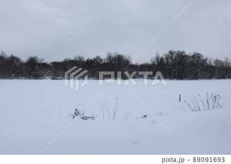 雪のカーネギー湖 雪のカーネギー湖 89091693