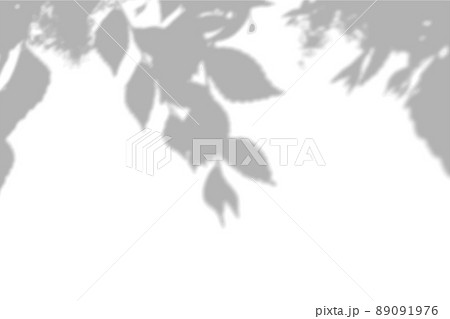 Summer background shadows from elm leaves on a white wall. White and black background for overlay on mockup 89091976