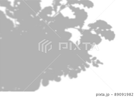 Summer background shadows from the foliage of a tree oak on a white wall. White and black background for overlay on mockup 89091982