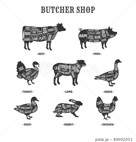 Diagrams for butcher shop. Cut diagram farm animal for butchers, livestock poultry turkey lamb, cooking rabbit or chiken, cutting beef butchery scheme 89092051