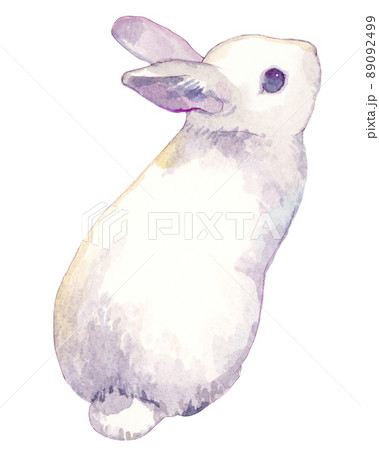 うさぎの水彩イラスト 89092499
