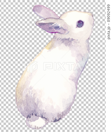 うさぎの水彩イラスト 89092499
