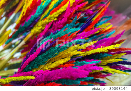 Colorful dyied dried wild flowers for doceration Colorful dyied dried wild flowers for doceration 89093144