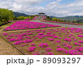 空の公園 89093297