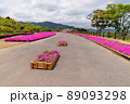 空の公園 89093298