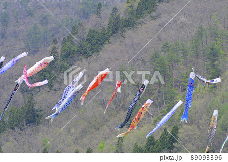 青空と桜と鯉のぼり 山形県白鷹町 青空と桜と鯉のぼり 山形県白鷹町 89093396