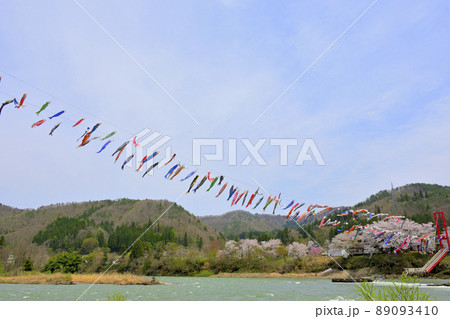 青空と桜と鯉のぼり　山形県白鷹町　 89093410