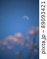 桜と月 89093421