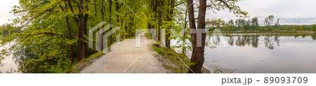 path with alley of trees on the shore of the pond, Vrbenske rybniky Nature reserve, Ceske Budejovice, Czech republic 89093709