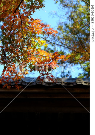 日本の燃えるような秋の紅葉 89094064