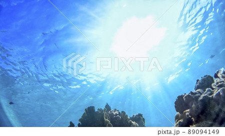 沖縄　渡嘉敷島の水中写真 89094149