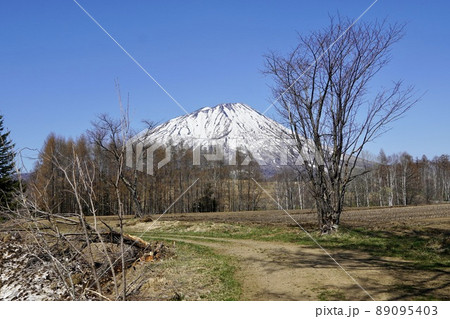 真狩村立知来別小学校跡地付近から見る羊蹄山 真狩村立知来別小学校跡地付近から見る羊蹄山 89095403