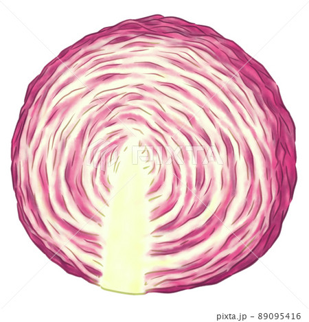 紫キャベツ半分 89095416