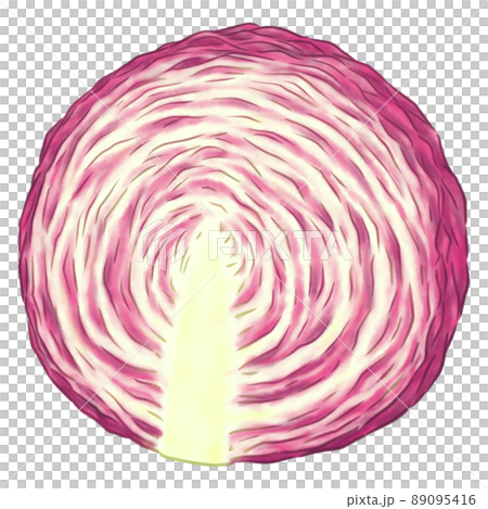 紫キャベツ半分 89095416