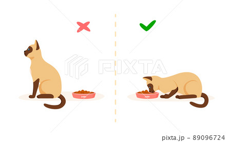 Cat with good and bad appetite. Picky cat refusing to eat and hungry cat eating food in bowl. Feeding pet problem concept. Flat style vector Cat with good and bad appetite. Picky cat refusing to eat and hungry cat eating food in bowl. Feeding pet problem concept. Flat style vector 89096724