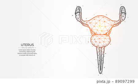 Abstract polygonal uterus vector illustration on a light background. Female reproductive organ low poly design. Medical banner, template or background. 89097299