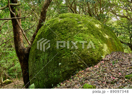 川平の巨石群 89097348