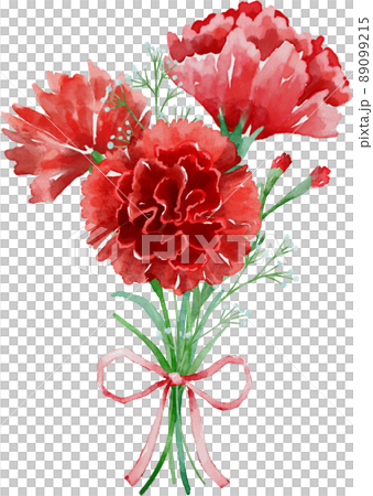 水彩康乃馨 水彩康乃馨 89099215