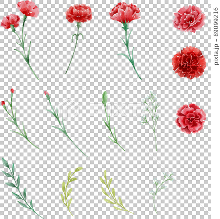 水彩康乃馨 水彩康乃馨 89099216